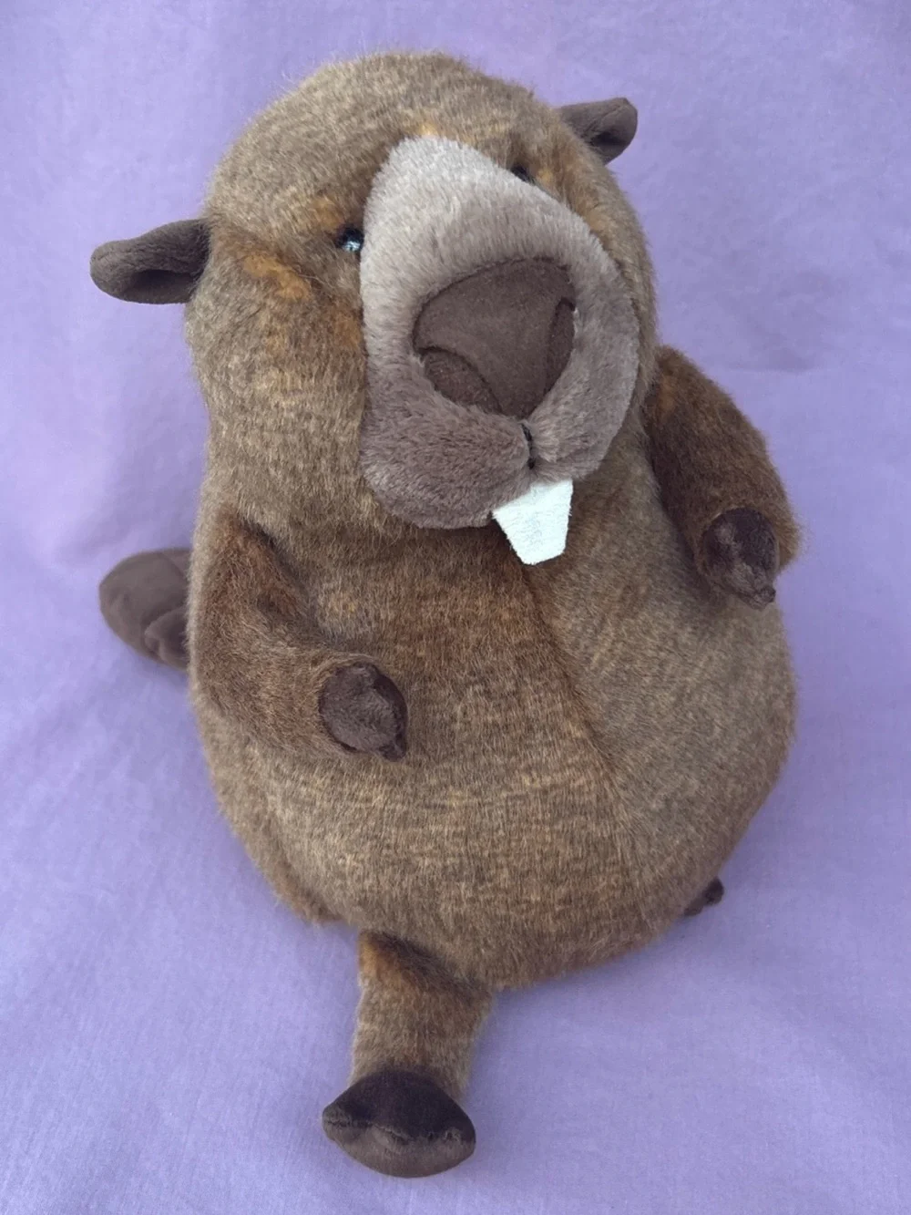 Exclusive Jellycat BRIGGS BEAVER Canada NWT brown softy HTF